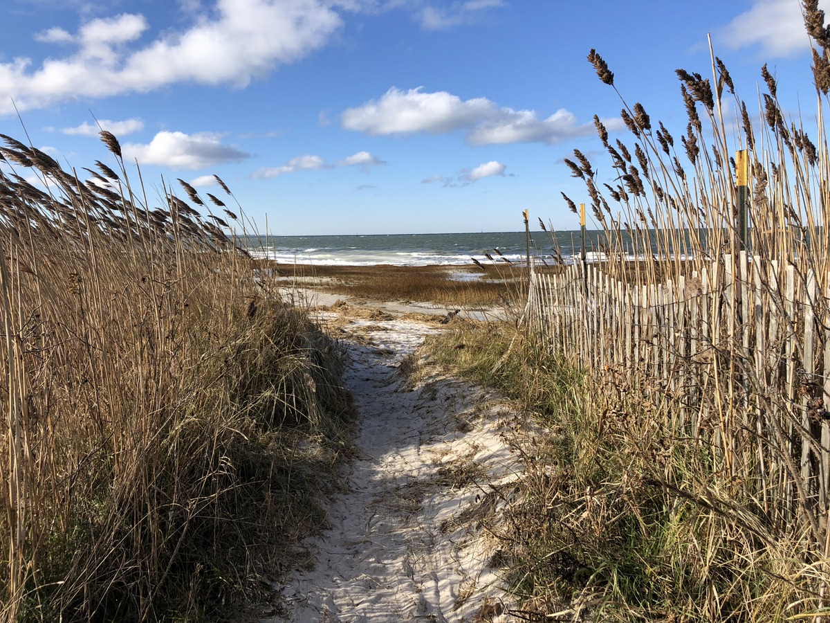 rock harbor - 8 dec 2018