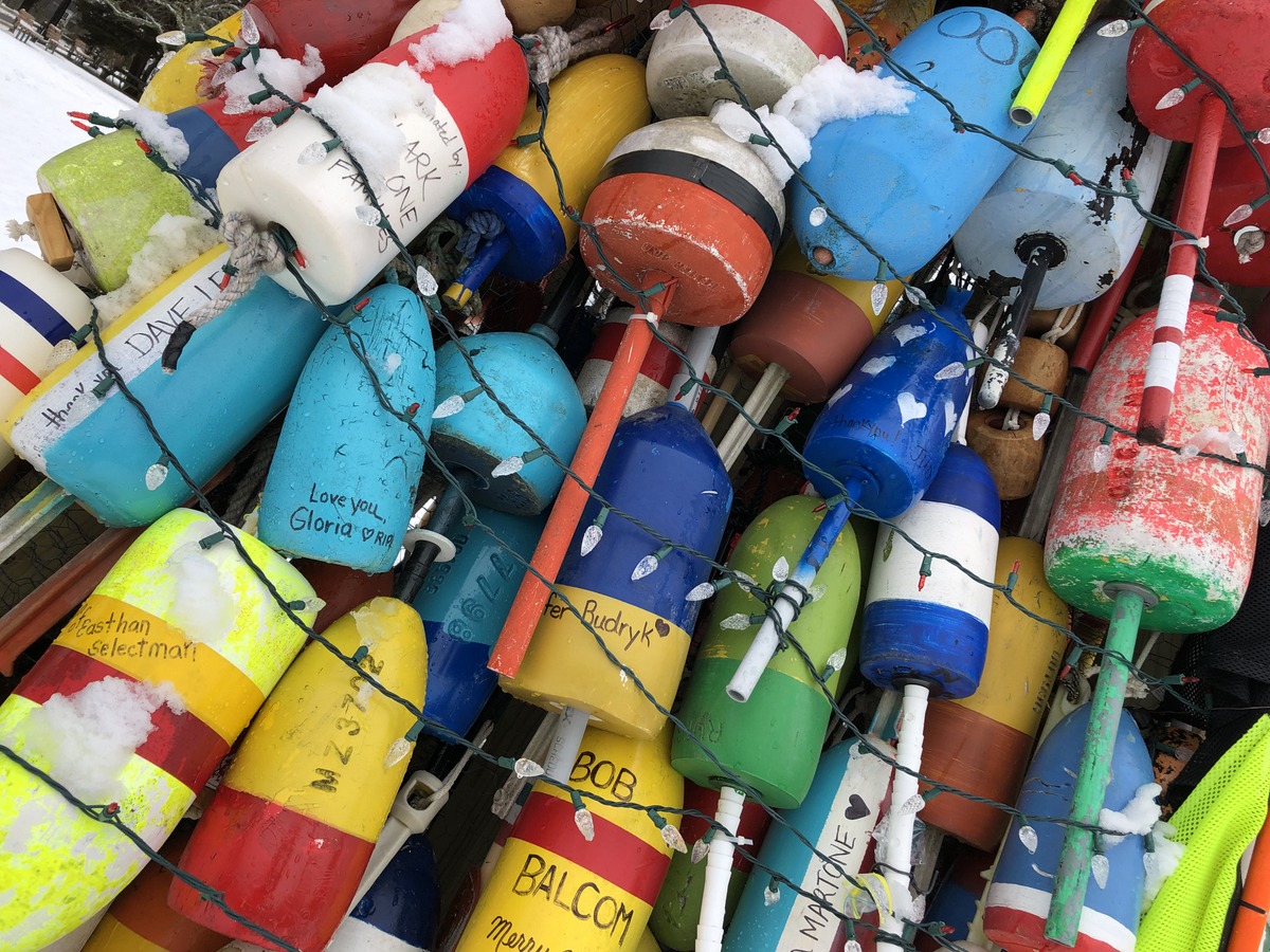 buoys - 18 feb 2019