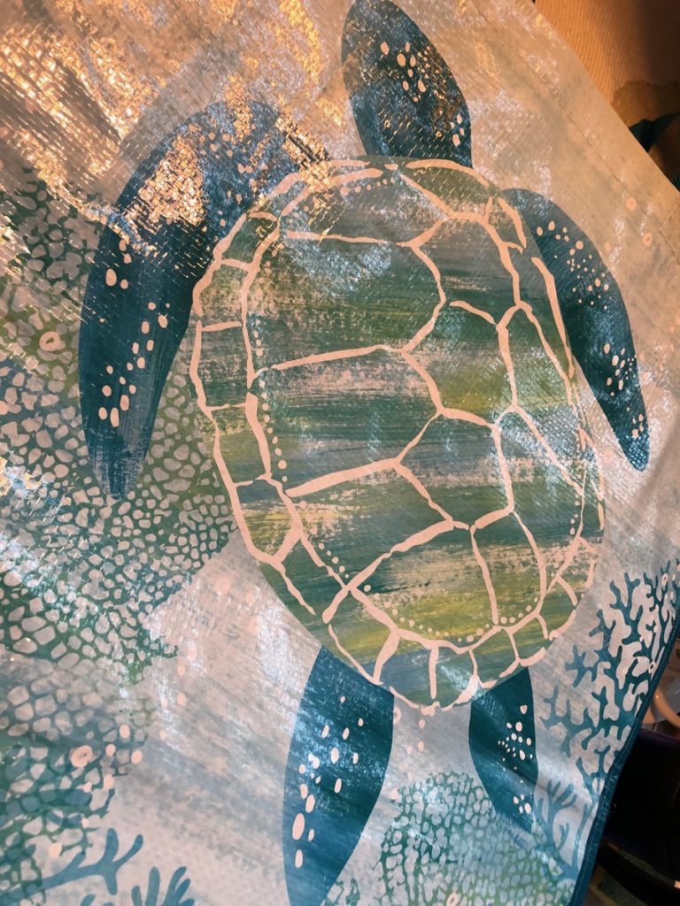 turtle - 23 may 2019