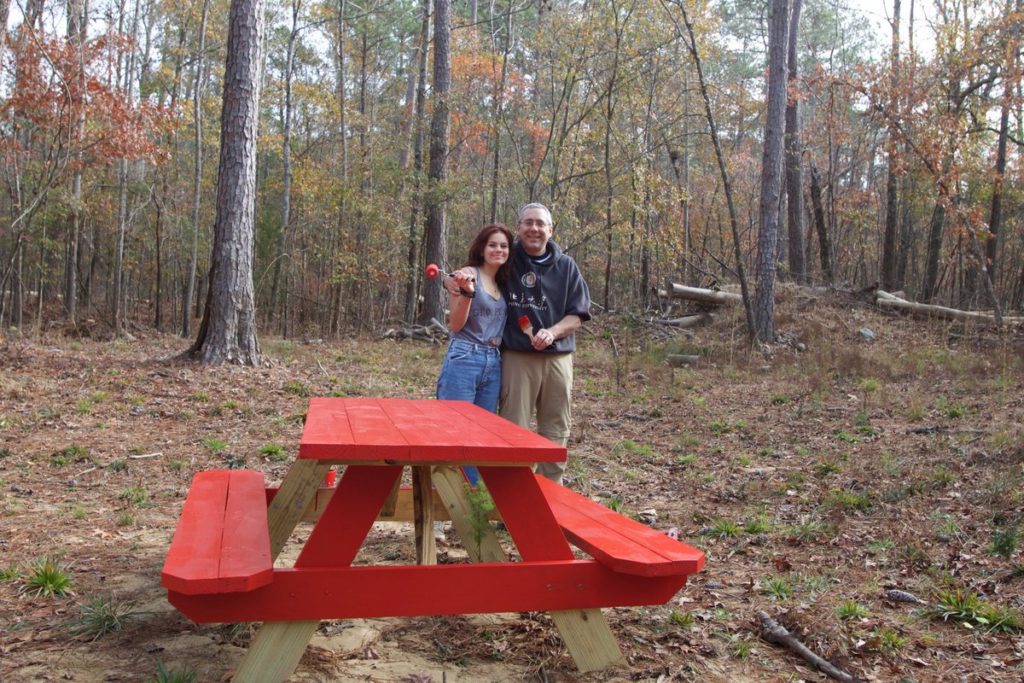 picnic table - 2 dec 2017