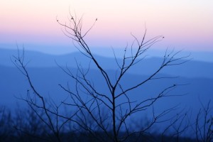 Skyline Drive